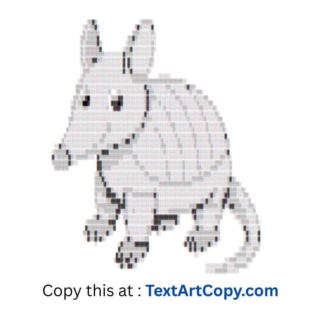Armadillo Text Art Copy