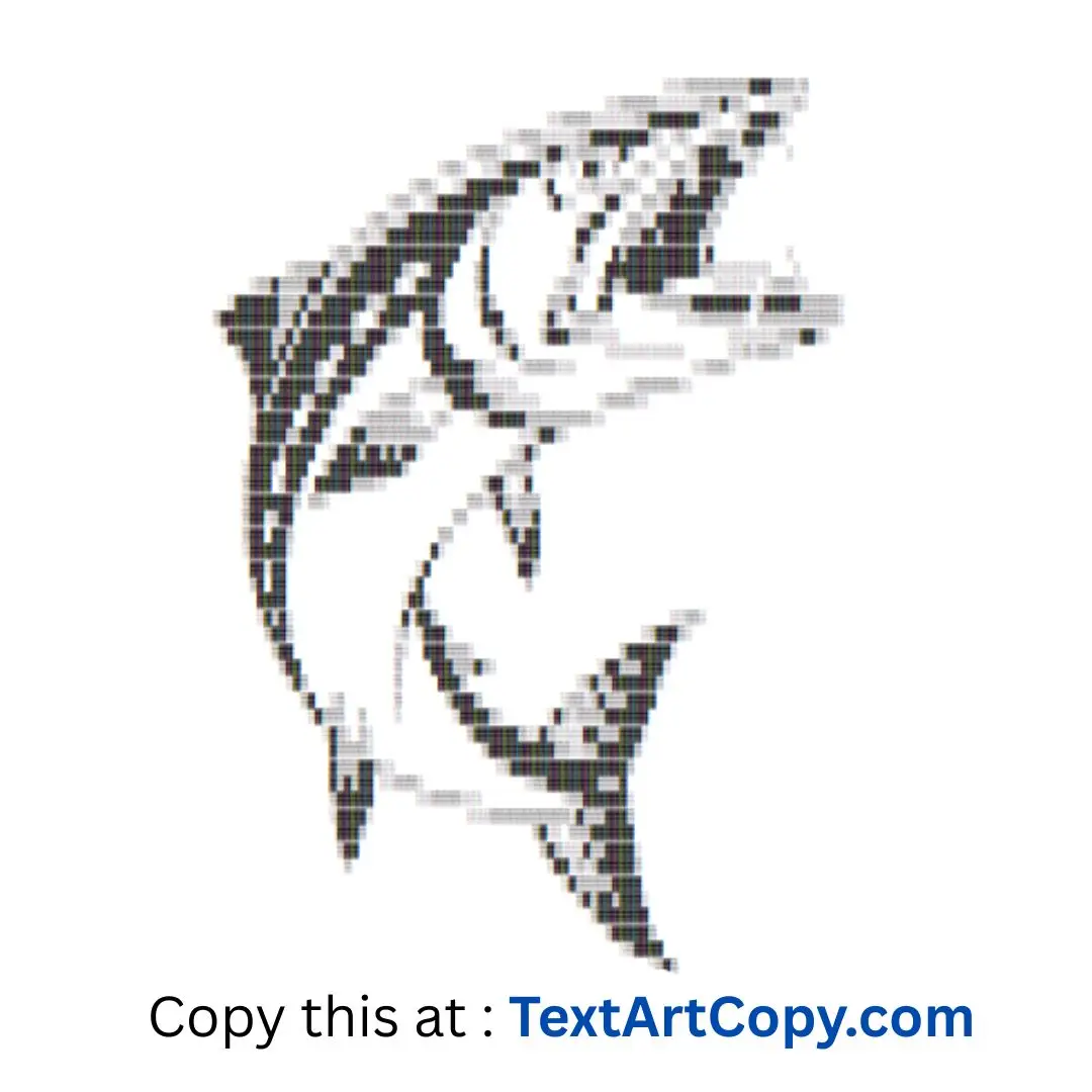 Barracuda Text Art Copy