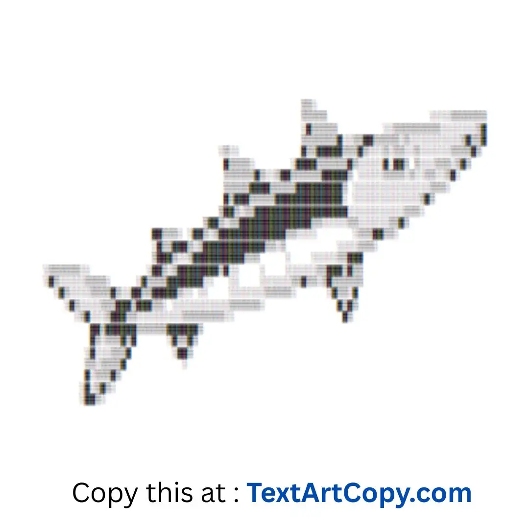 Barracuda ASCII Art Copy