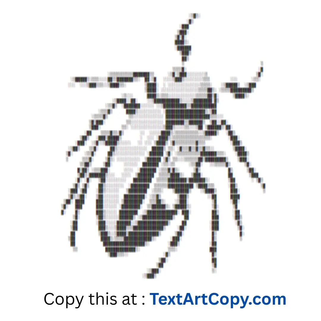 Beetle Text Art