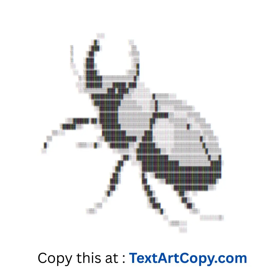 Beetle ASCII