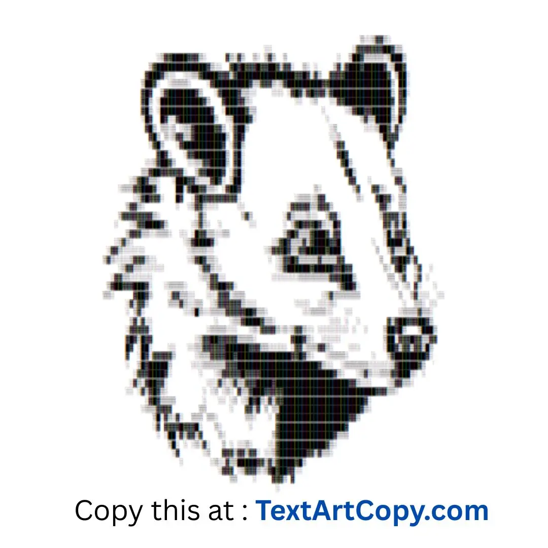 Binturong ASCII Art Copy