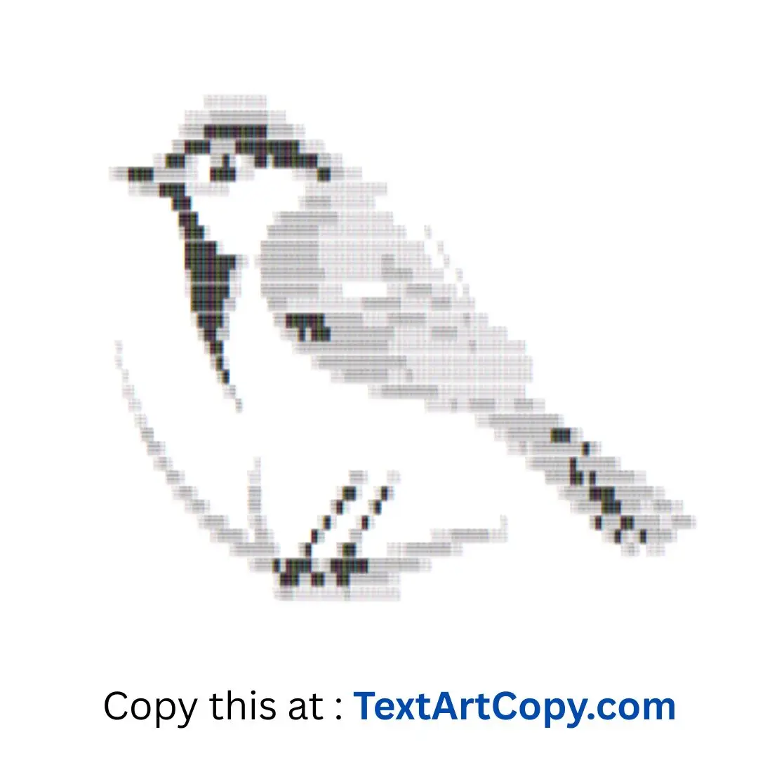 Blue Jay Text Art Copy