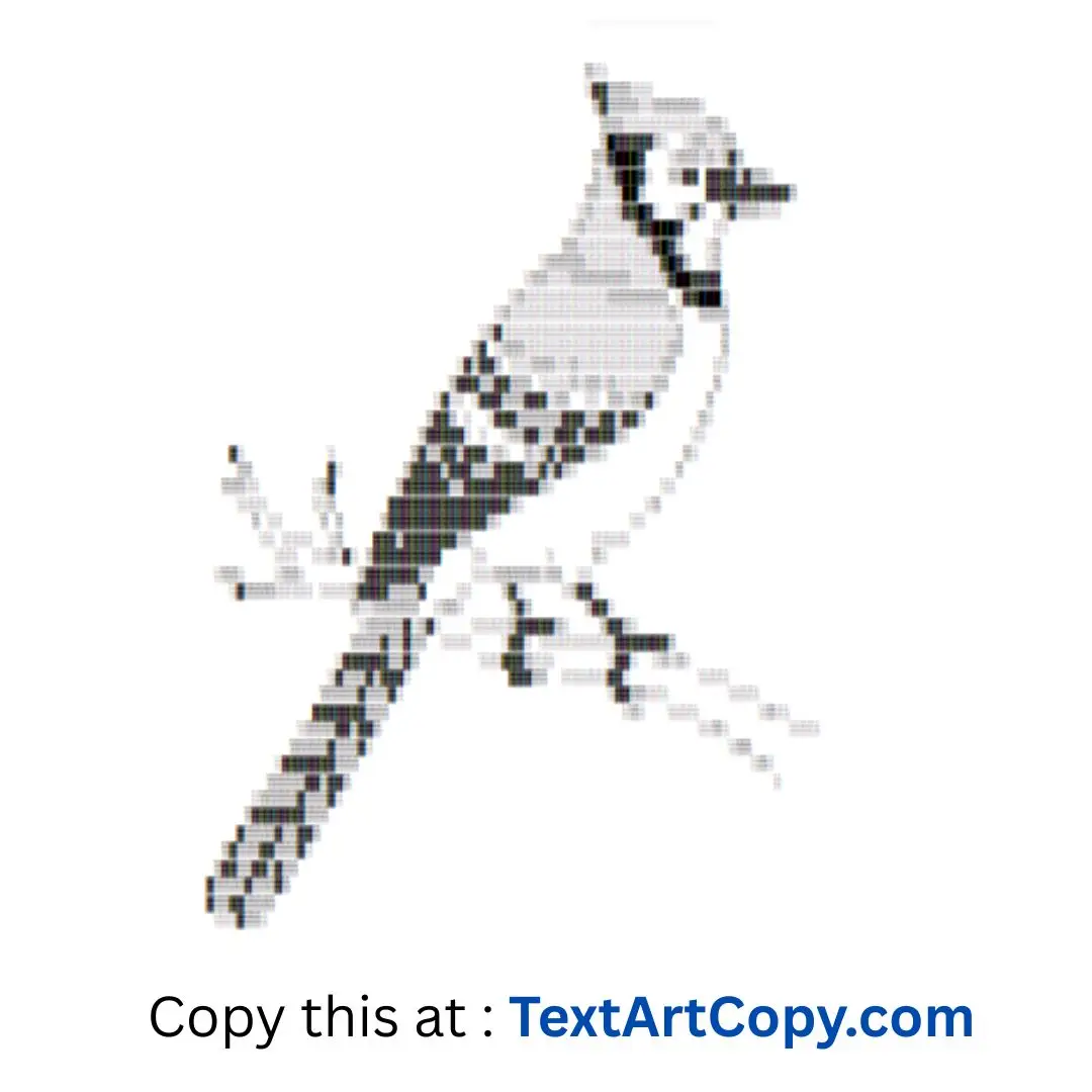 Blue Jay ASCII Art Copy
