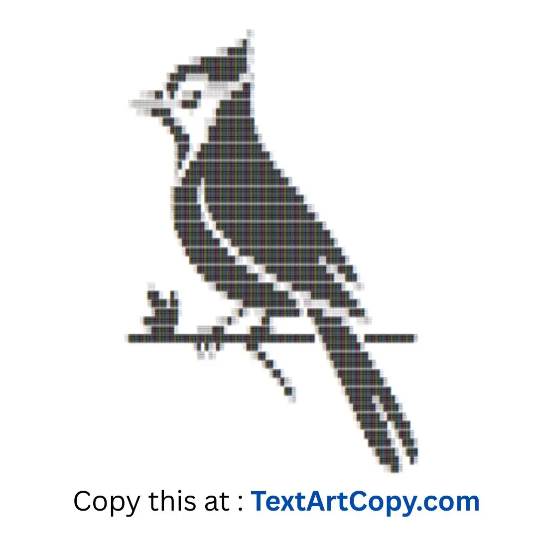 Blue Jay ASCII