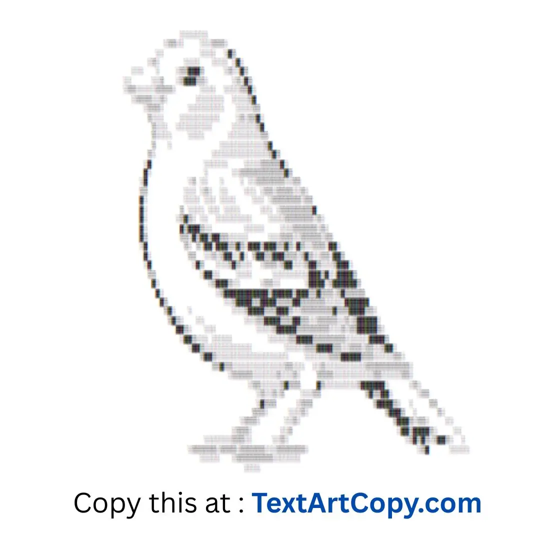 Canary ASCII Art Copy