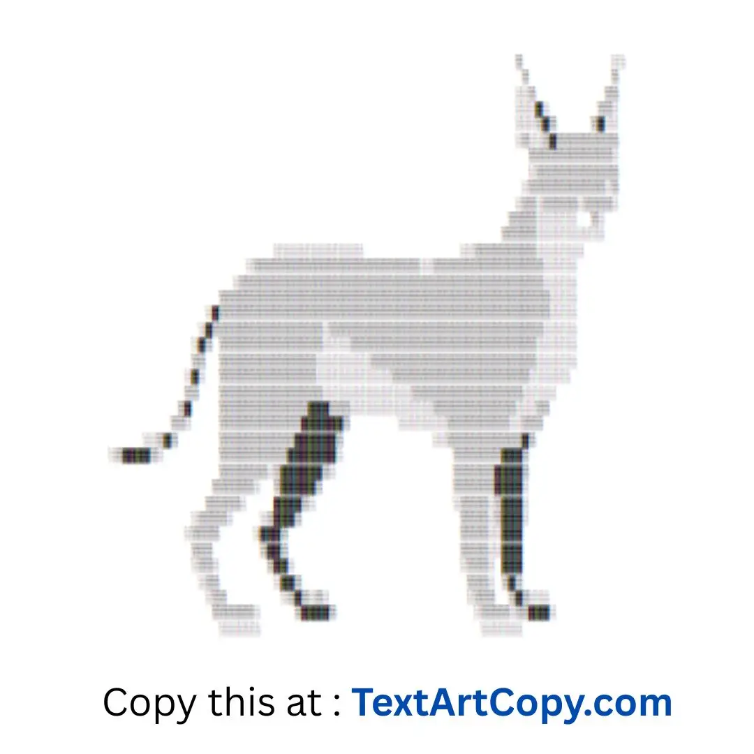 Caracal Text Art