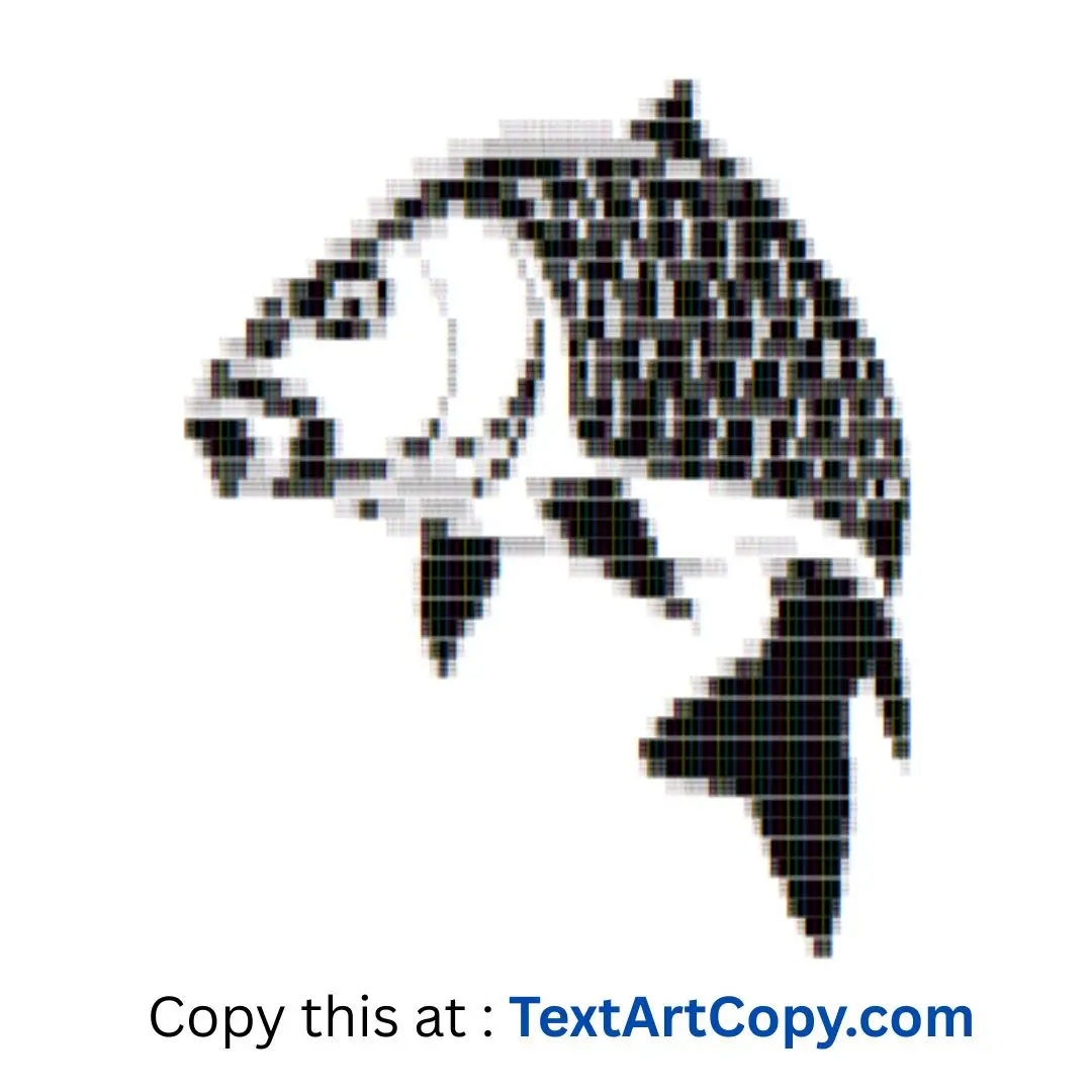 Carp Text Art Copy