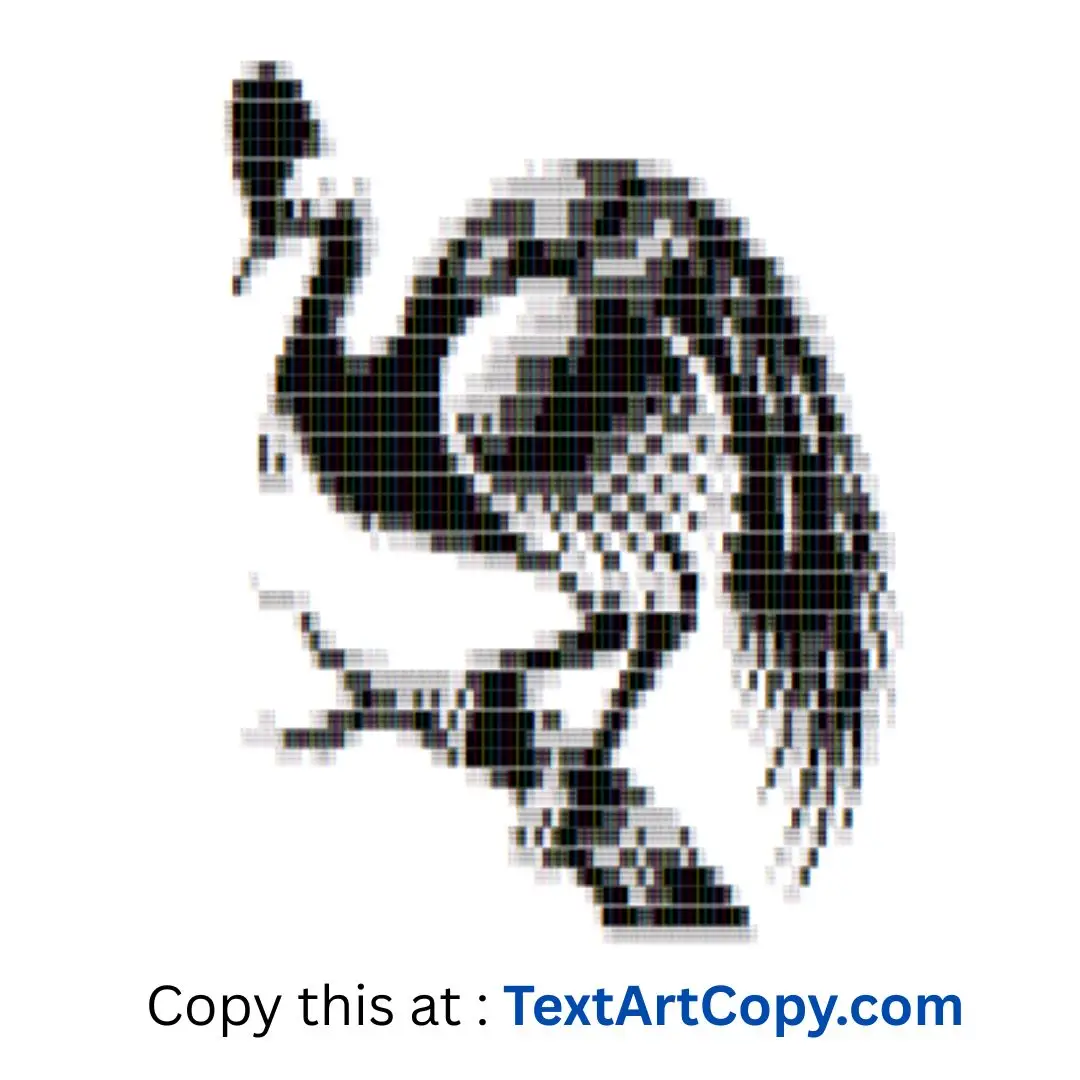 Cassowary ASCII Art Copy