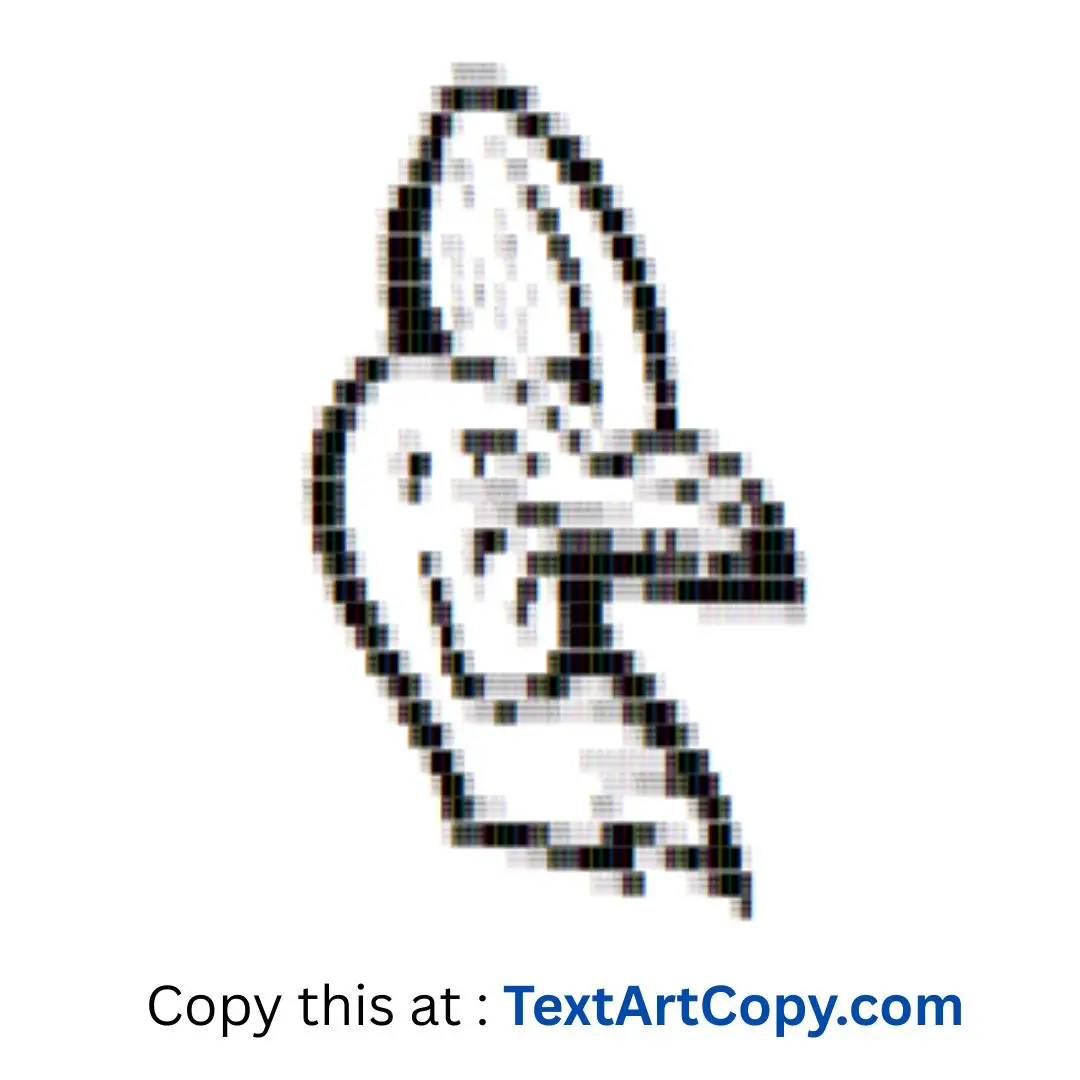 Cassowary Text Art