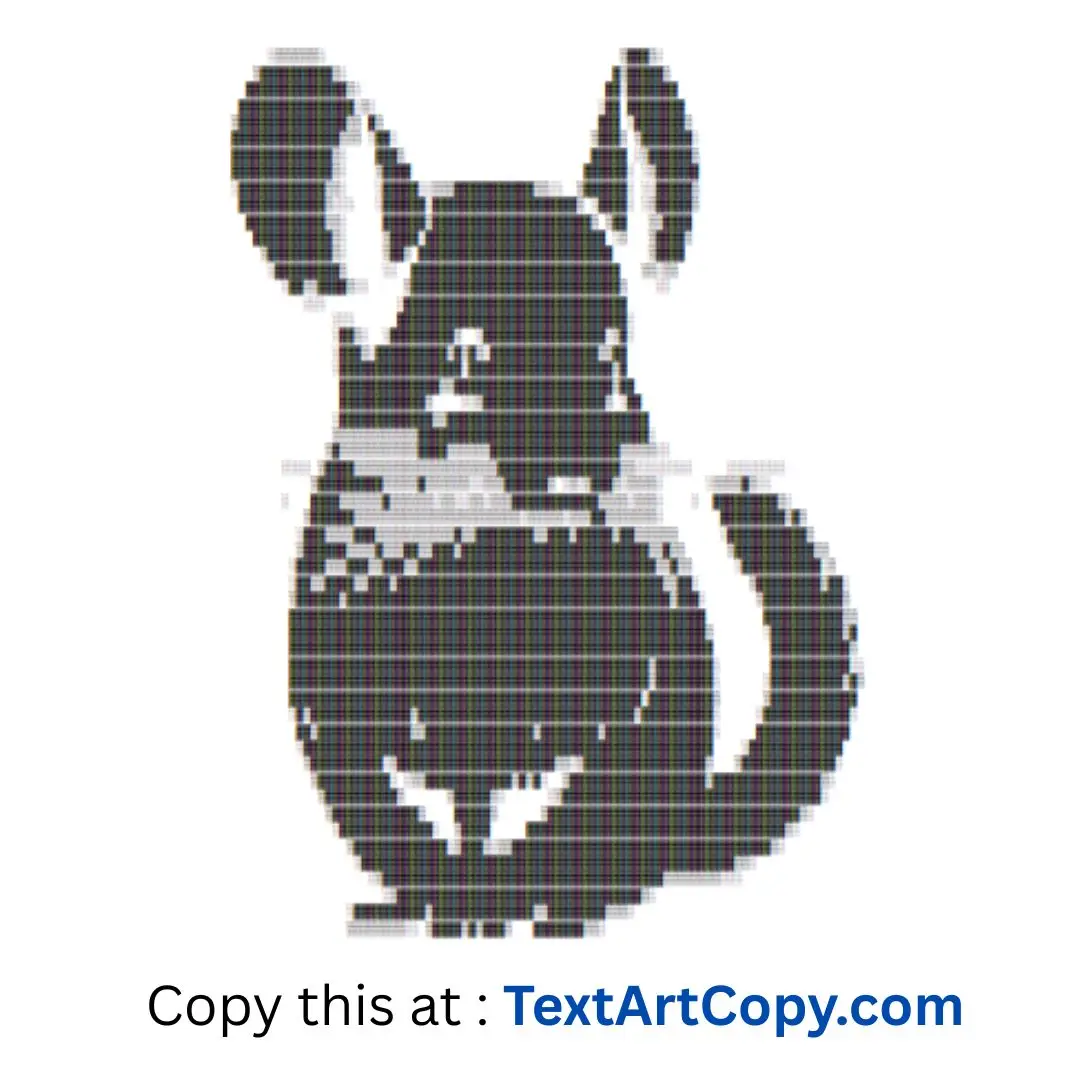 Chinchilla Text Art Copy