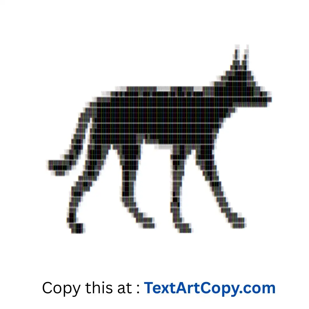 Dingo ASCII