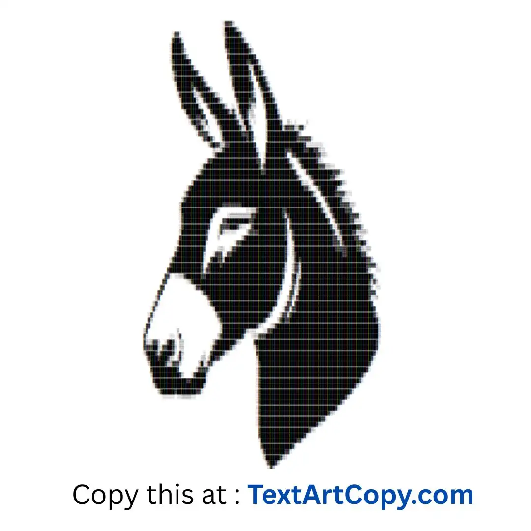 Donkey ASCII Art Copy