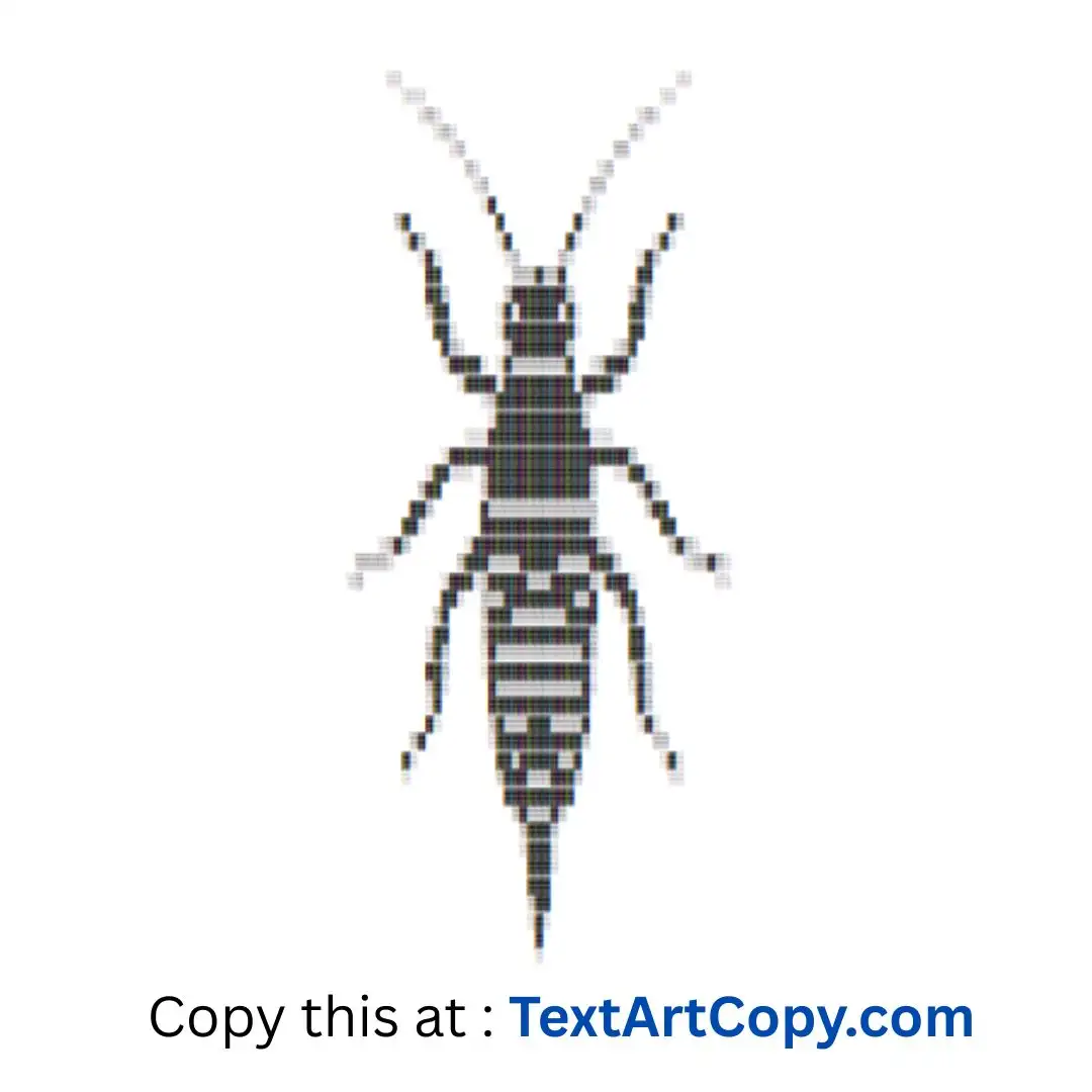 Earwig ASCII Art Copy