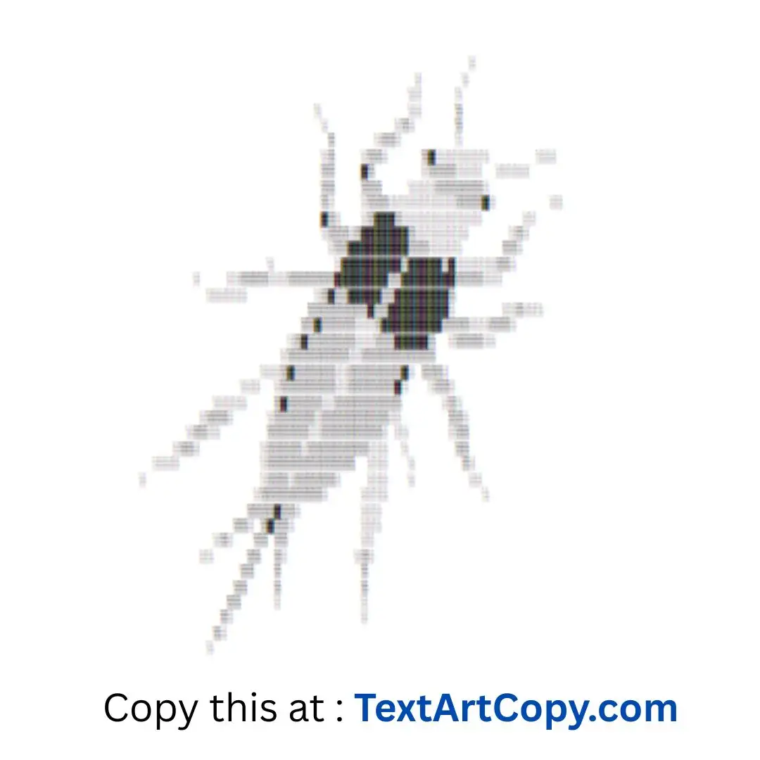 Earwig Text Art