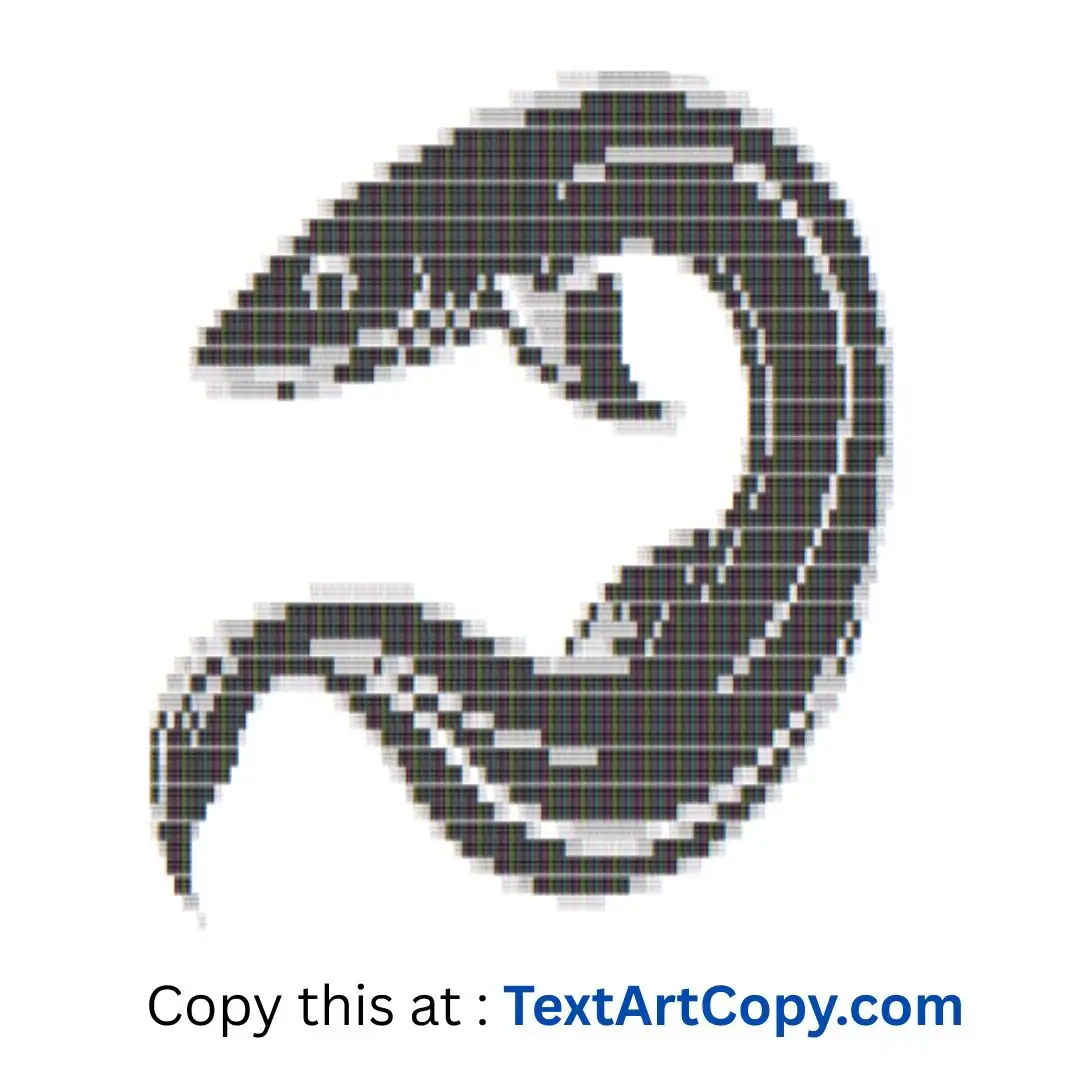 Eel Text Art Copy