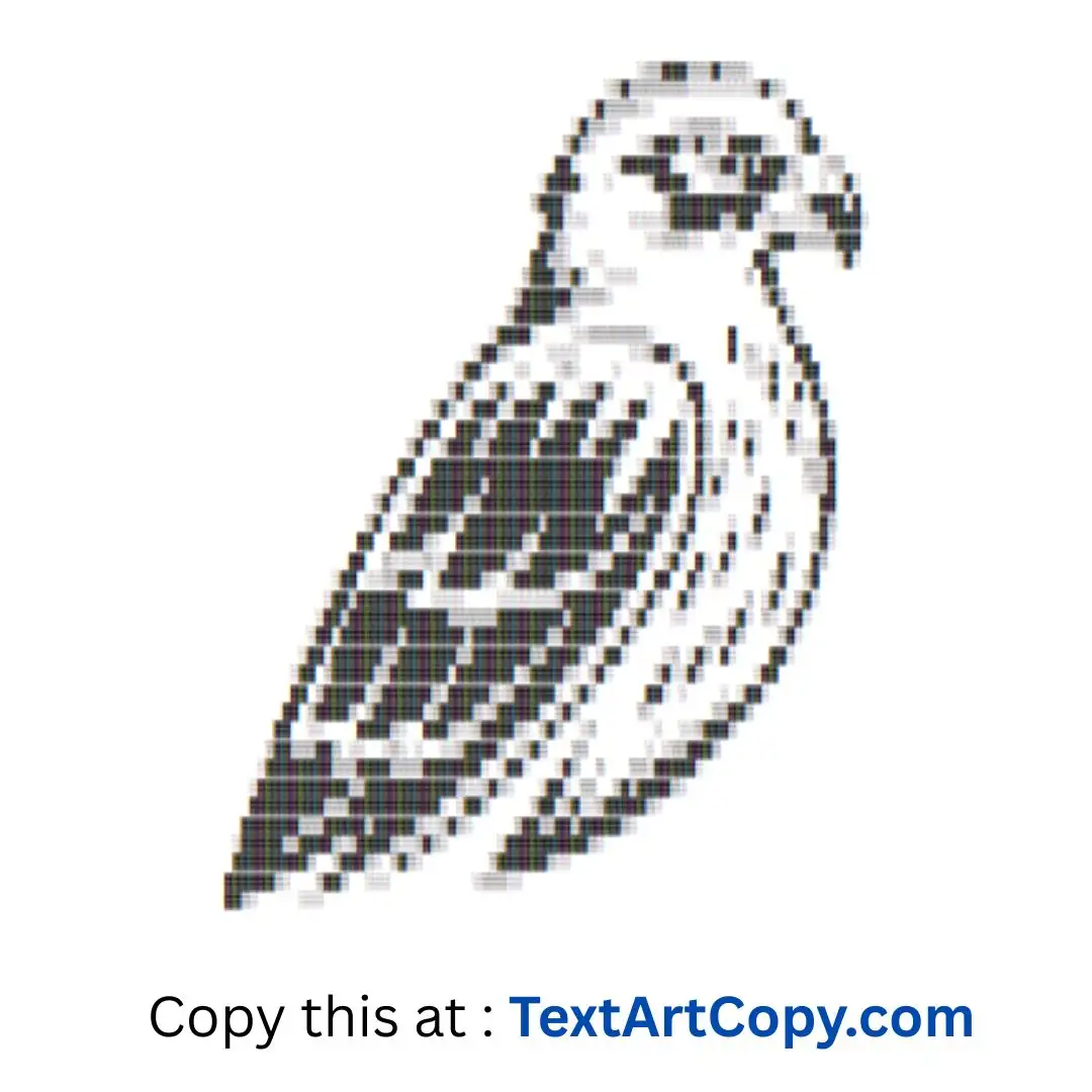 Falcon Text Art Copy