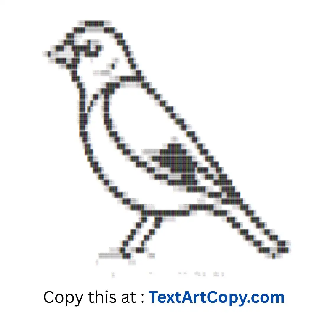 Finch ASCII Art Copy