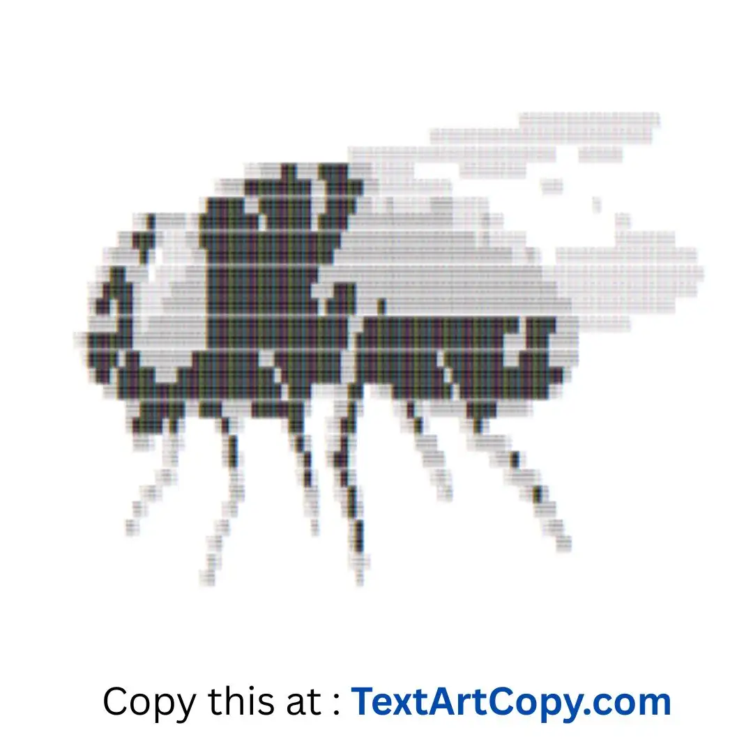 Fly ASCII Art Copy