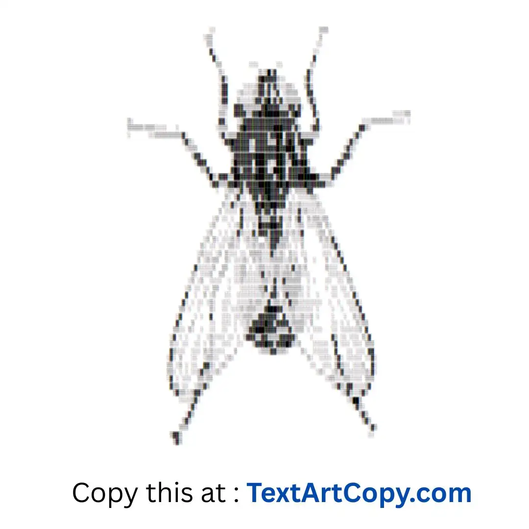 Fly Text Art