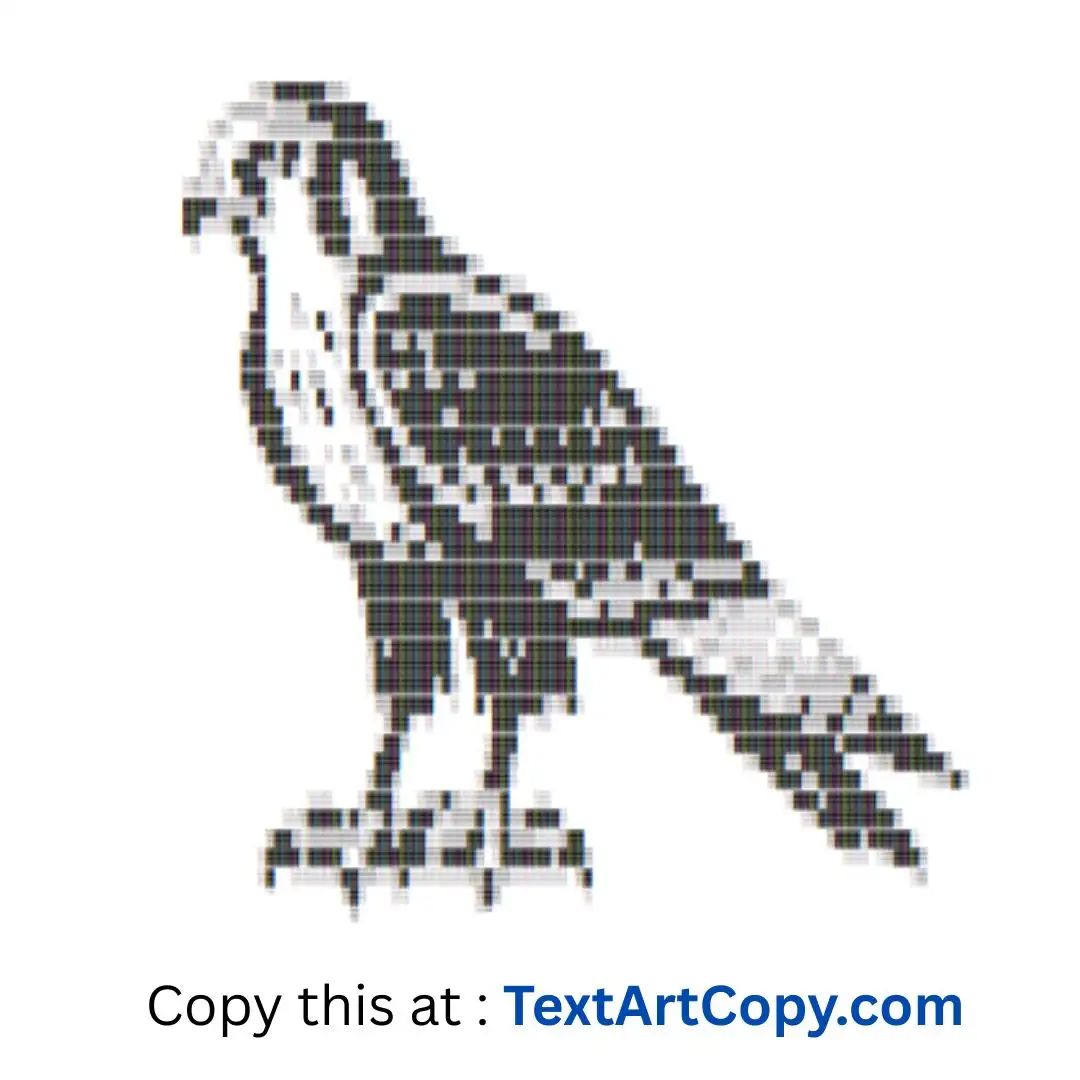 Harrier ASCII Art Copy