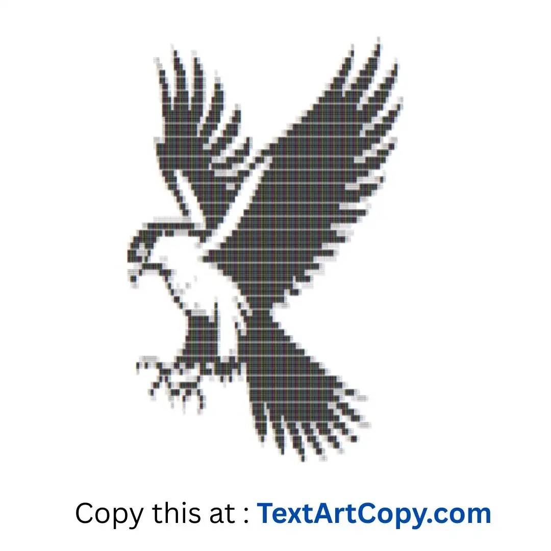 Hawk Text Art Copy