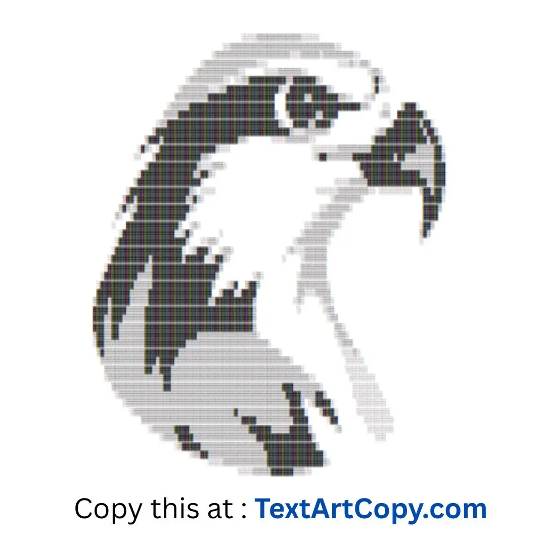 Hawk ASCII Art Copy