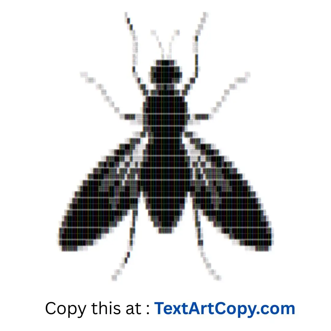 Housefly Text Art Copy