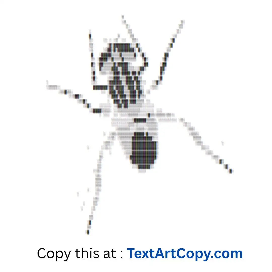 Housefly ASCII Art Copy