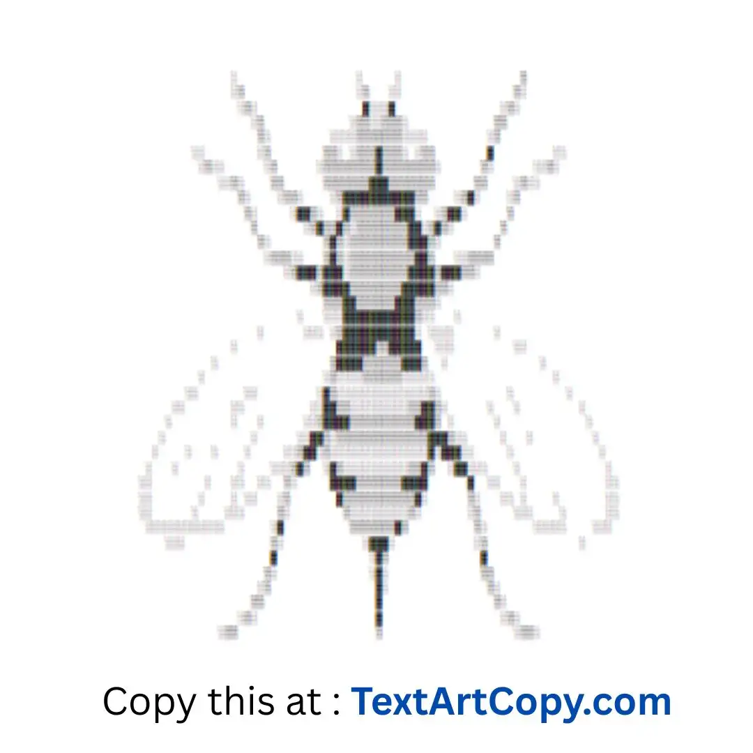 Housefly Text Art