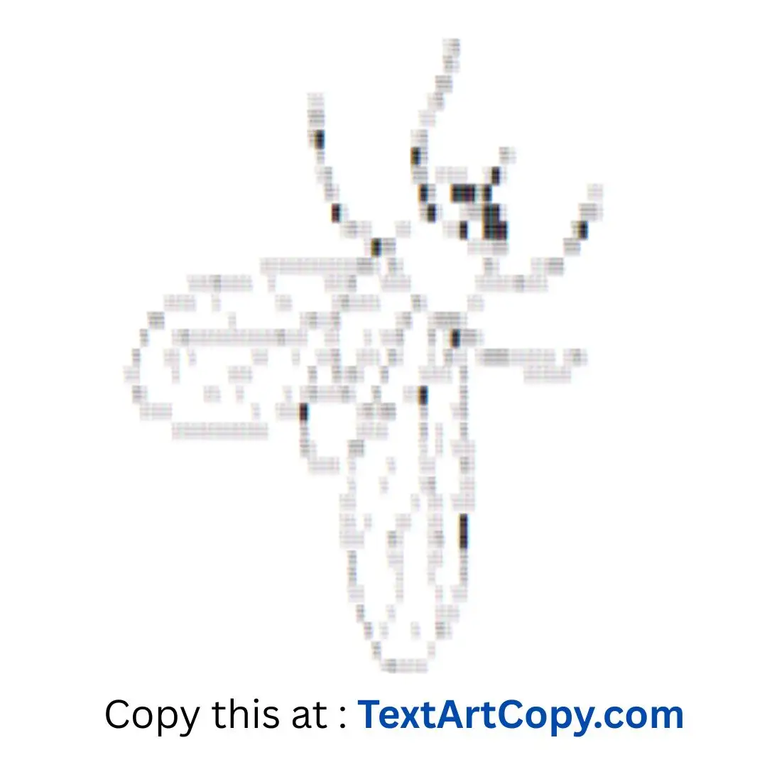 Housefly ASCII