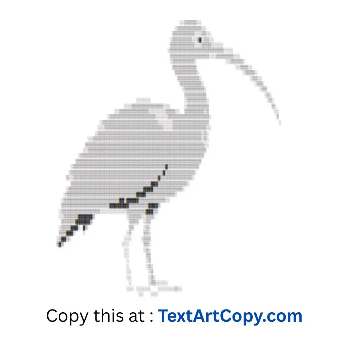 Ibis ASCII Art Copy